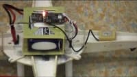 Related Article Image