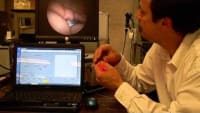 Related Article Image