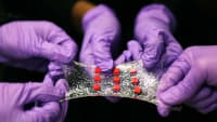 Related Article Image