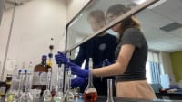 Related article image
