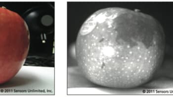 Feature Image
