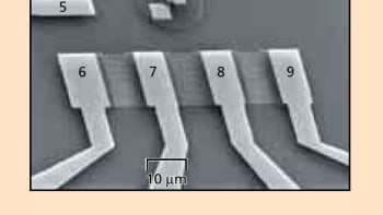 Feature Image