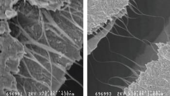 Feature Image