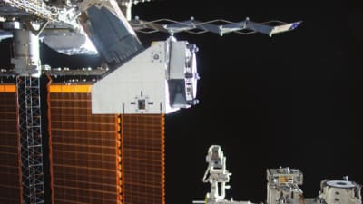 Feature Image
