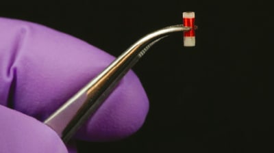 Feature Image