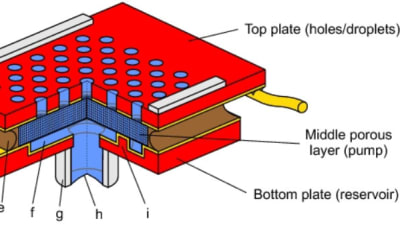 Feature Image