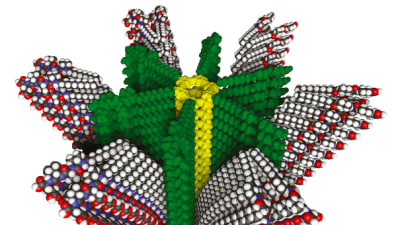 Feature Image