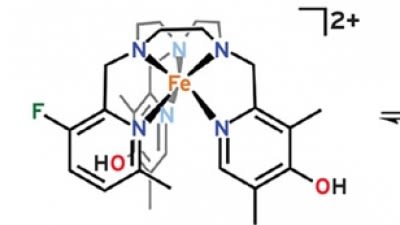 Feature Image