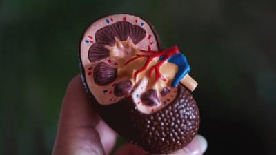 Feature Image