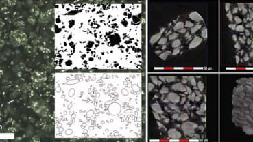 Feature Image