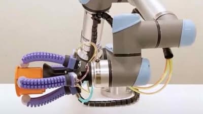 Soft Robotic Hand for Delicate Manipulation - Tech Briefs