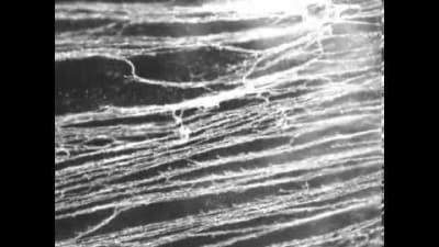 Tiny Fiber Materials Self-Assemble at the Microscale - Tech Briefs
