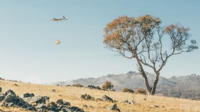 Feature Image