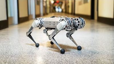 MIT's Springy Mini Cheetah is the First Four-Legged Robot to Backflip ...