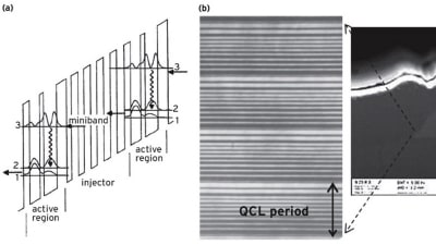 Feature Image