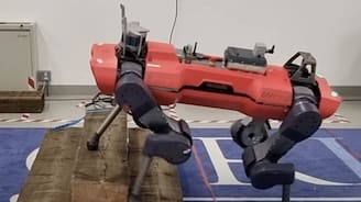 Learning Low Frequency Motion Control For Robust Dynamic Robotic