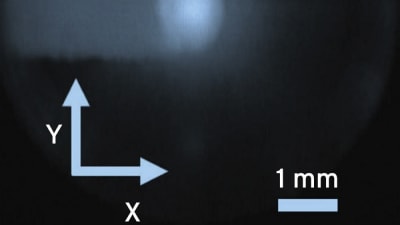 Feature Image