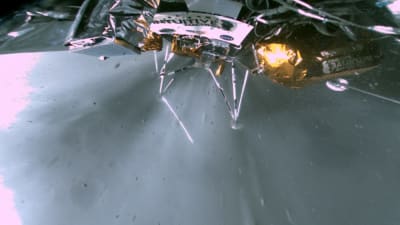 Feature Image