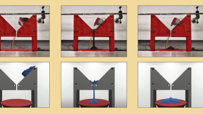 Feature Image
