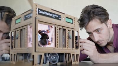 Innovative Mini-Labs Enhance AI Algorithm Testing
