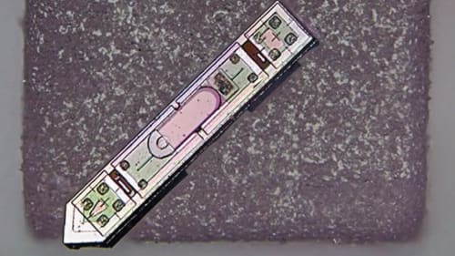 Feature Image