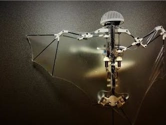 Feature Image