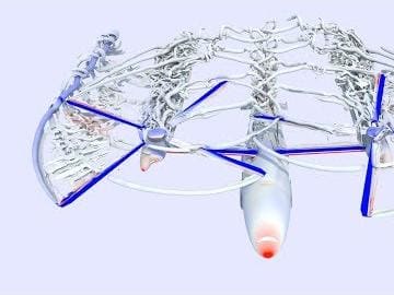 Feature Image