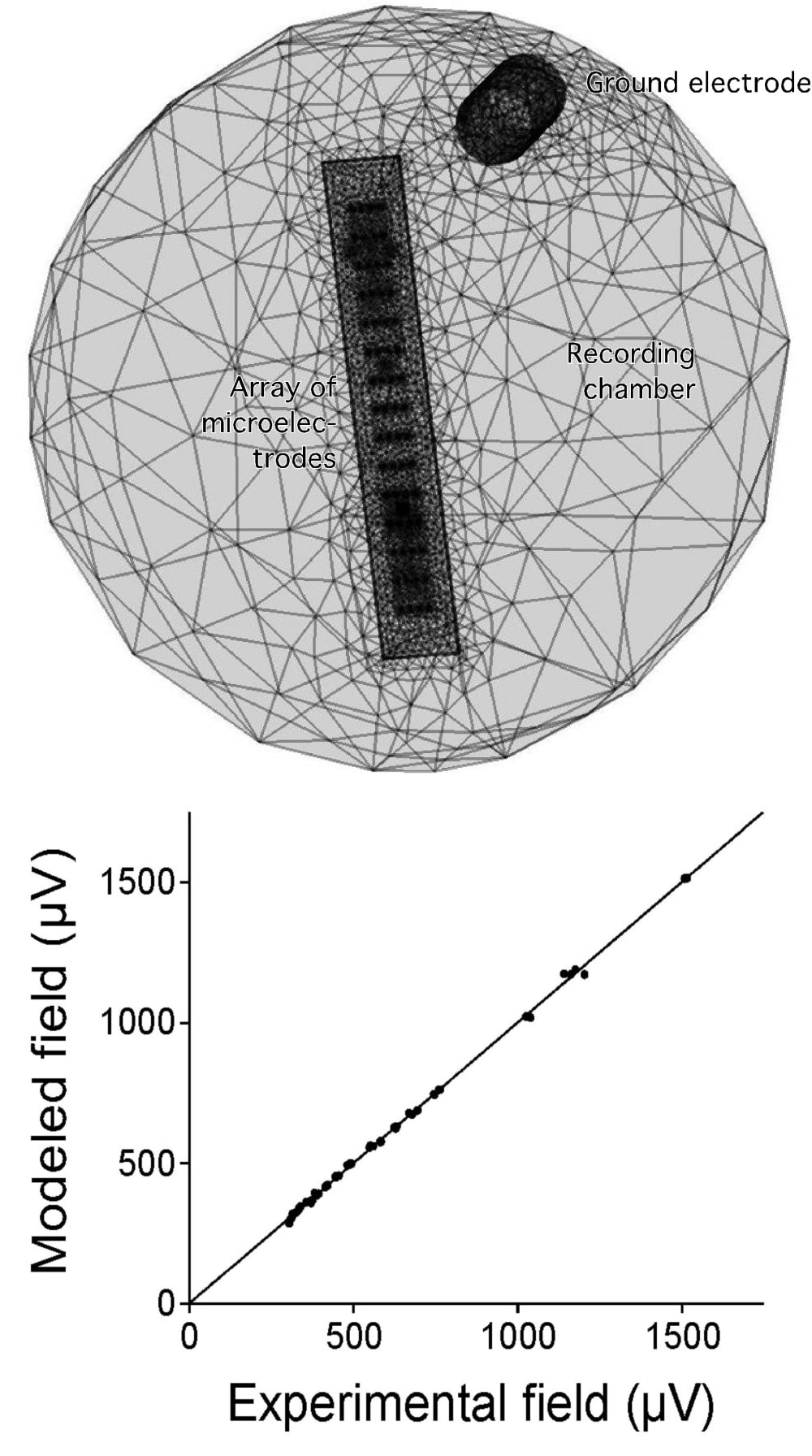 Microelectrode arrays for focal neural stimulation - Create the Future