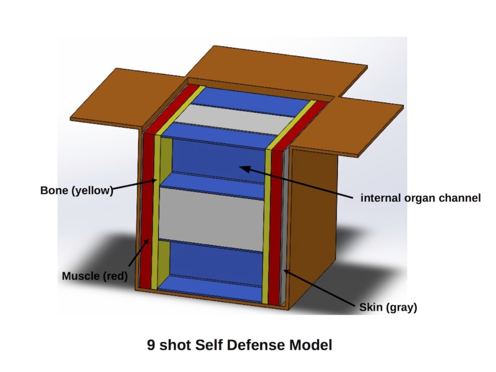 Torso in a Box - Create the Future