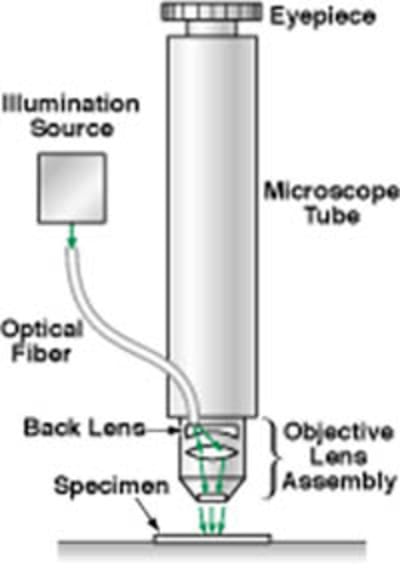 Fibre Optic Microscope