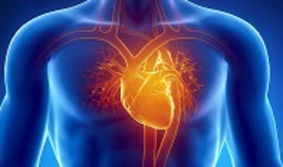 Electric Mesh Device “Hugs” Heart, Improving Cardiac Function