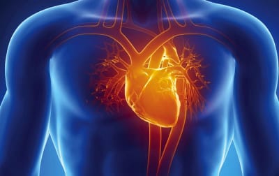 With Zio, WHS Cardiovascular Care Offers New Way to Detect