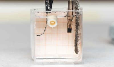 A Soft Gel Turns to &lsquo;Bone&rsquo; - Tech Briefs