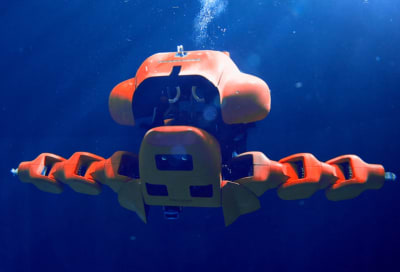 Mechanical and hardware configurations of the robotic fish: (a