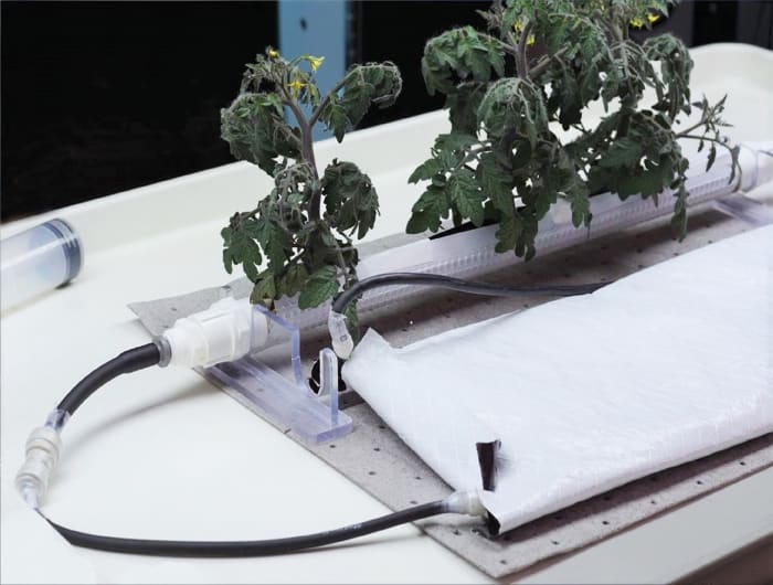 Passive Porous Tube Nutrient Delivery System