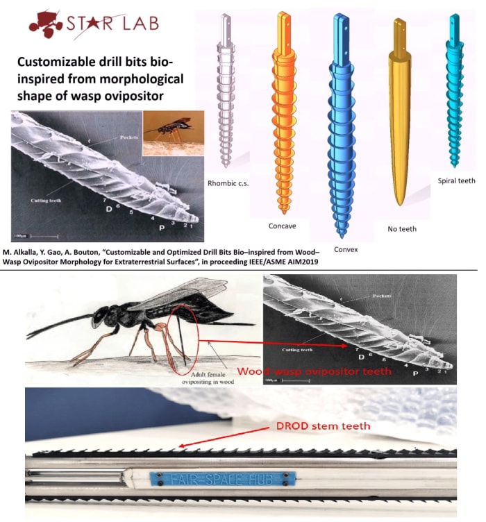 About Stem/Bit Shapes