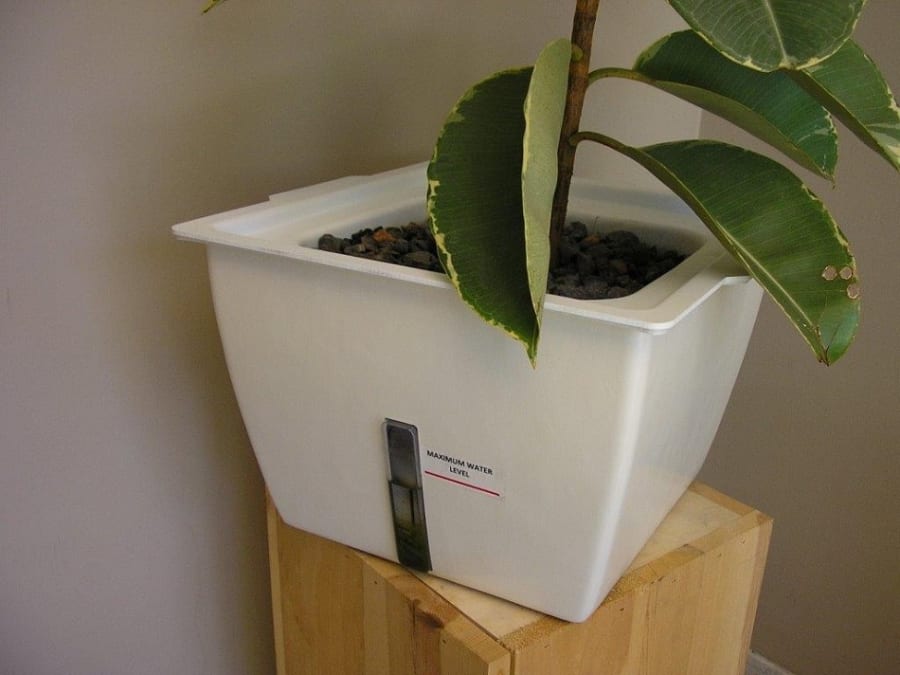 Plant Air Purifier