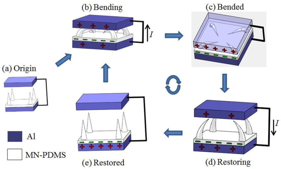 Mechanical Energy Harvesting, Storage and Lighting Using a Novel