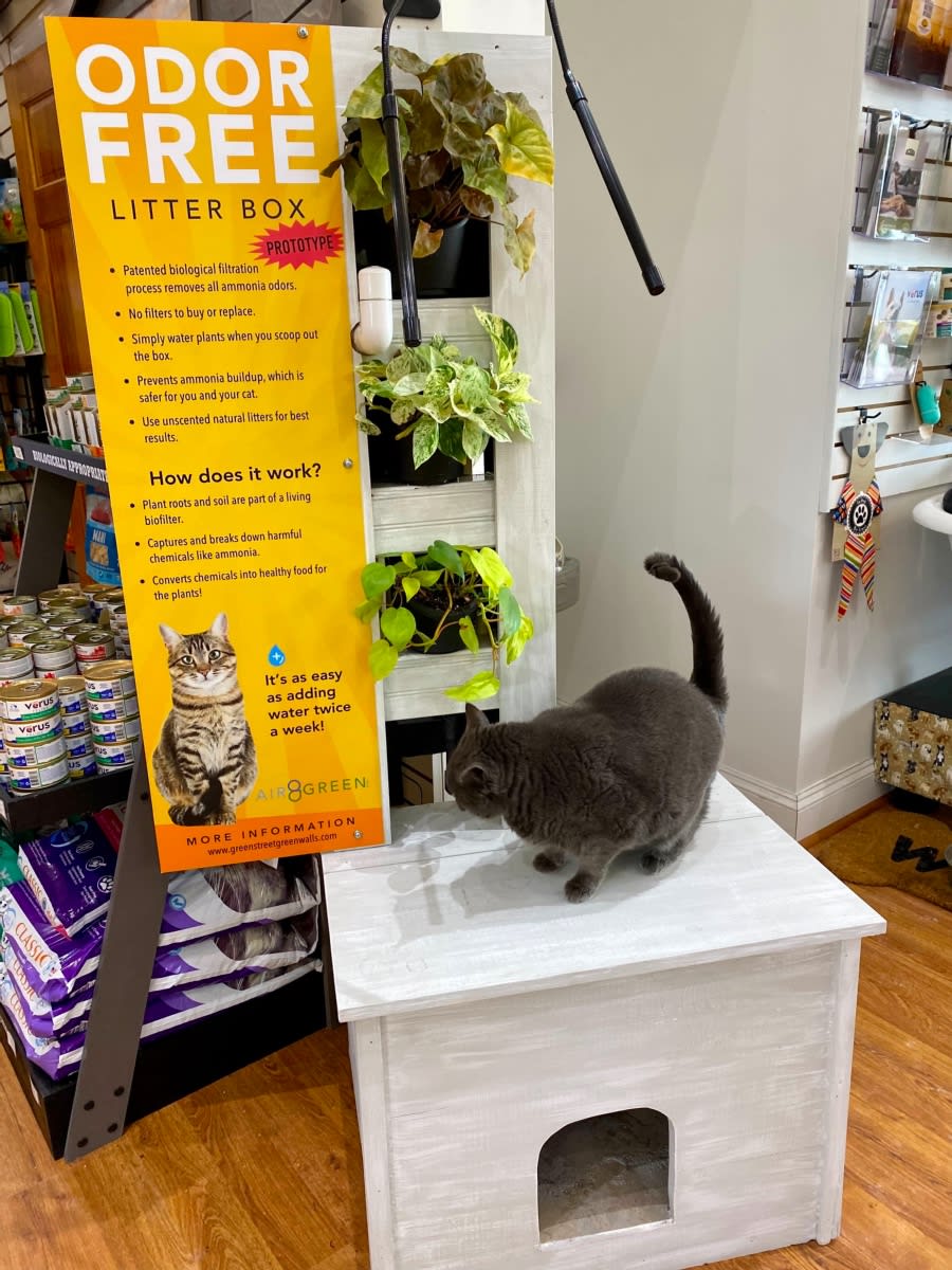 Litter shop box ammonia