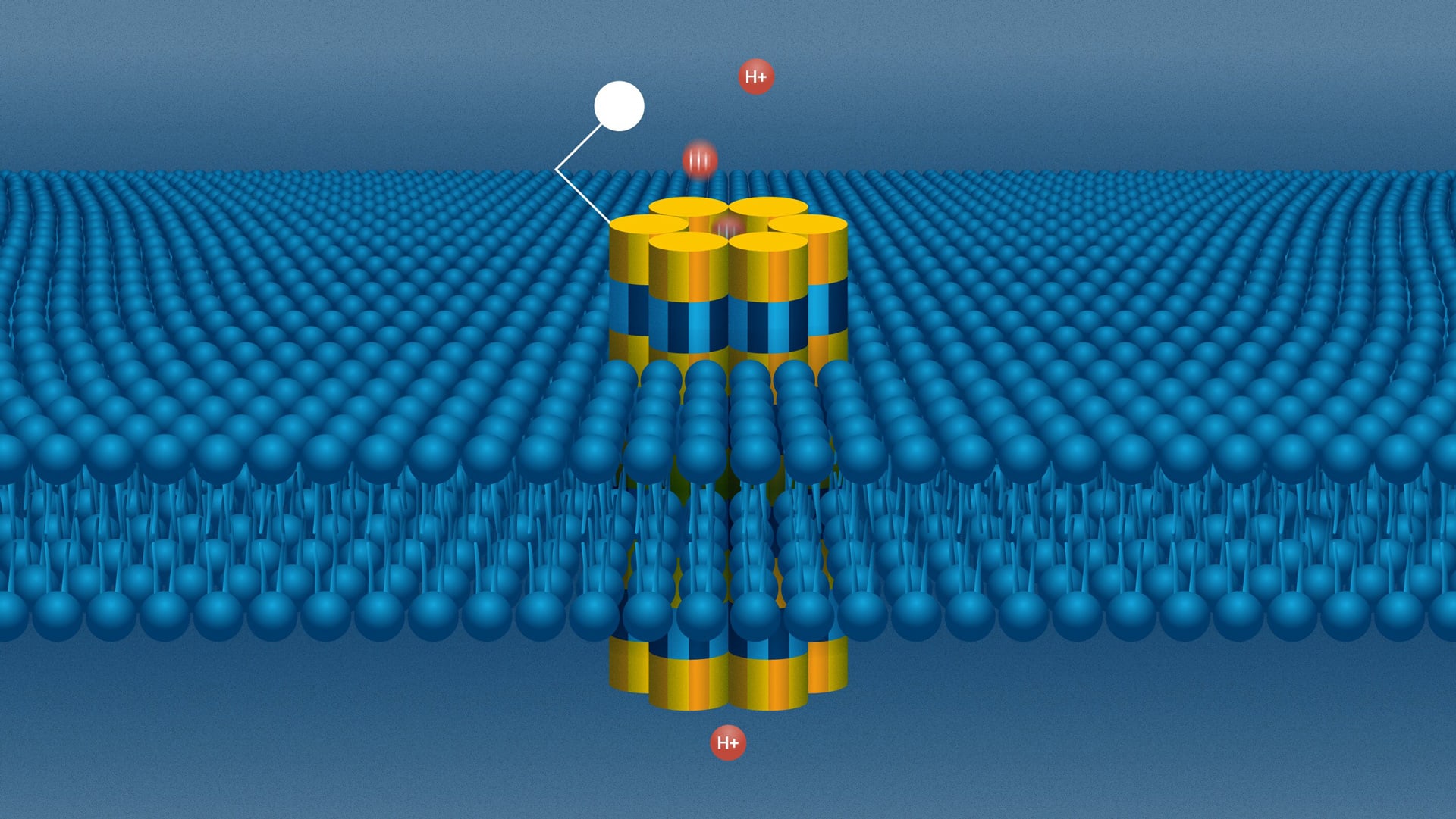 Nanopores + Electronic Signals = Disease Protection Medical Design Briefs