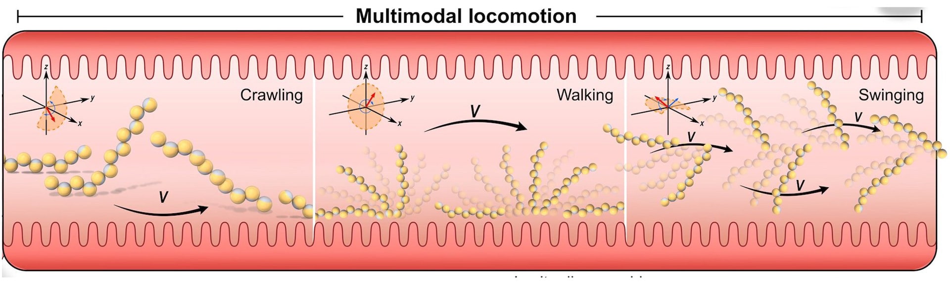 Magnetic field Image