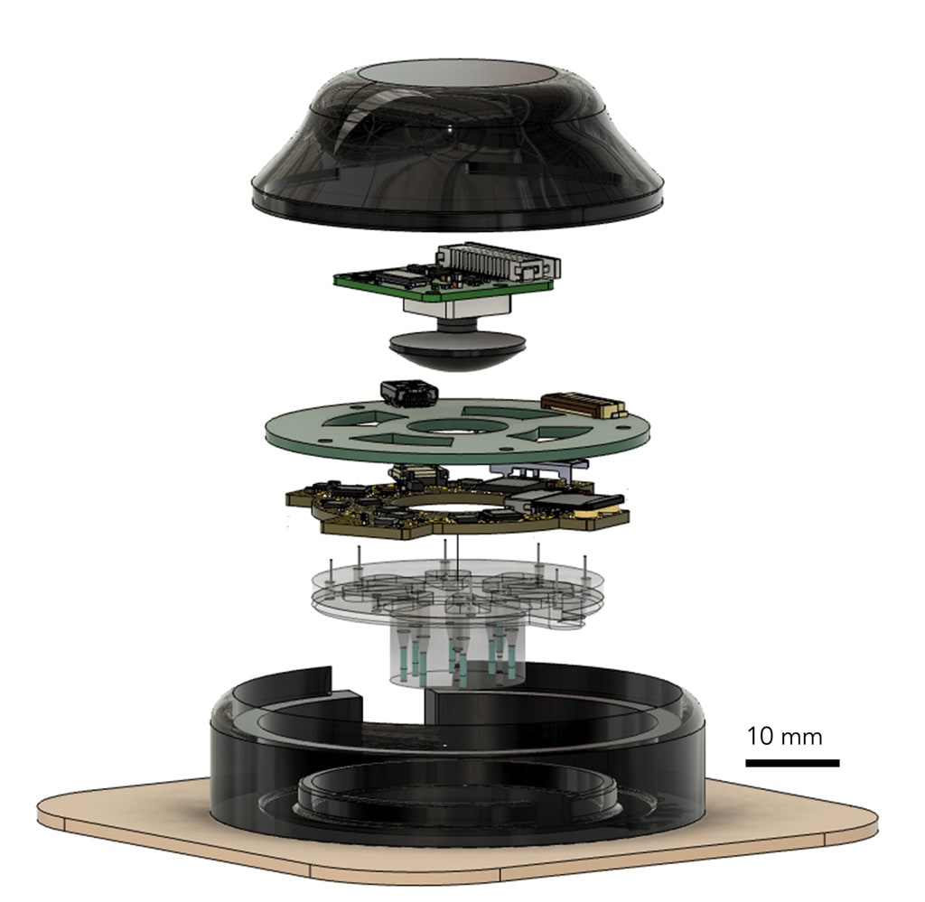 Wearable Device Image