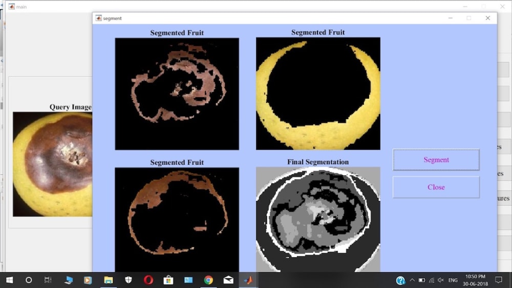 Apple Disease Classification using Machine Learning.