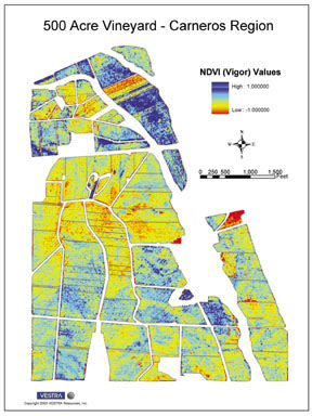Maps of plant vigor help managers divide the grape harvest
