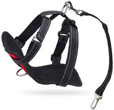 Adjustable Padded Dog Safety Harness with Car Seatbelt Tether