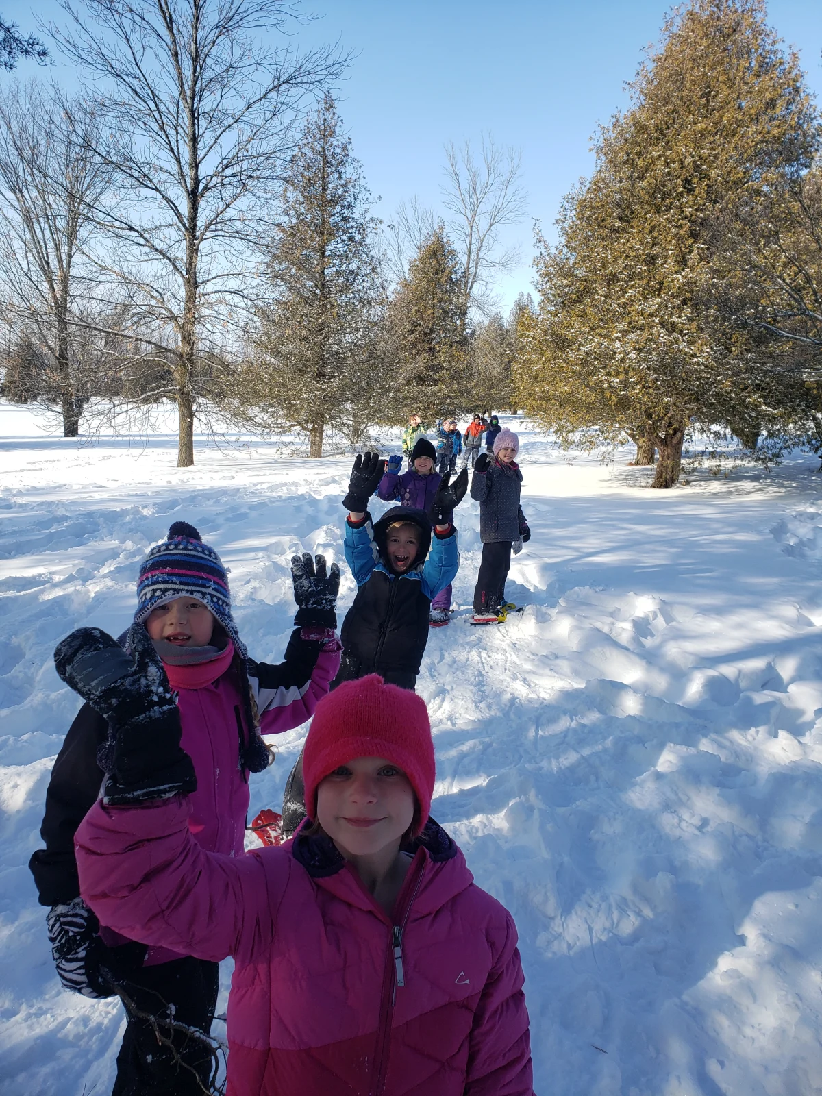 Post thumbnail image