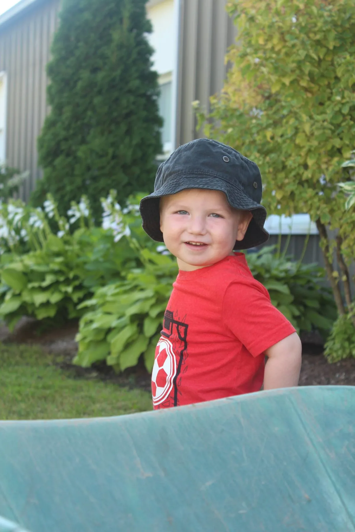 Post thumbnail image