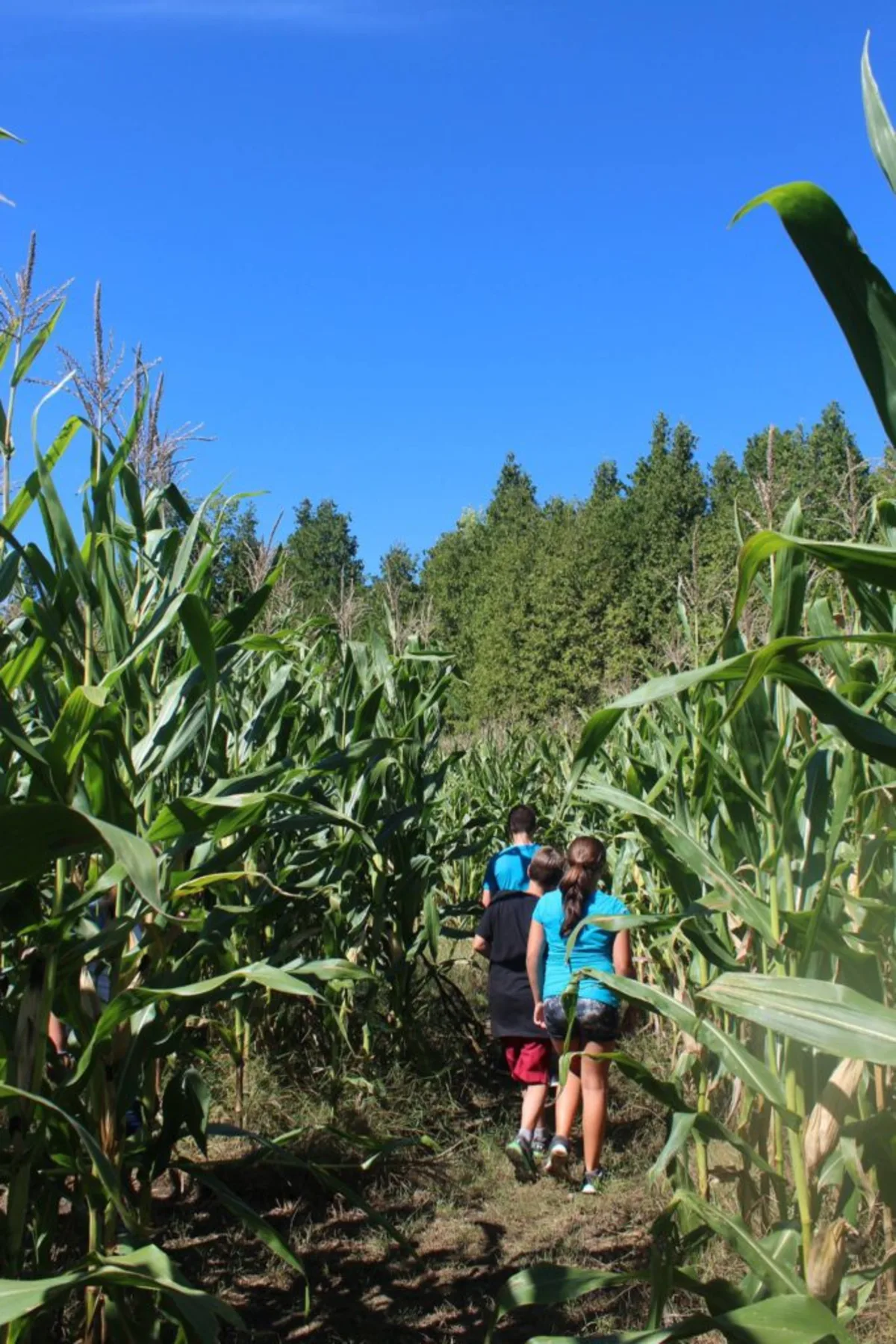 Post thumbnail image