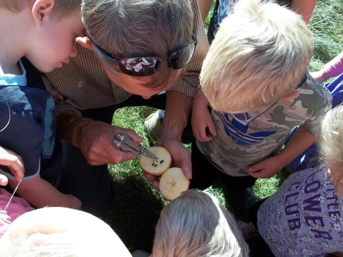 Post thumbnail image