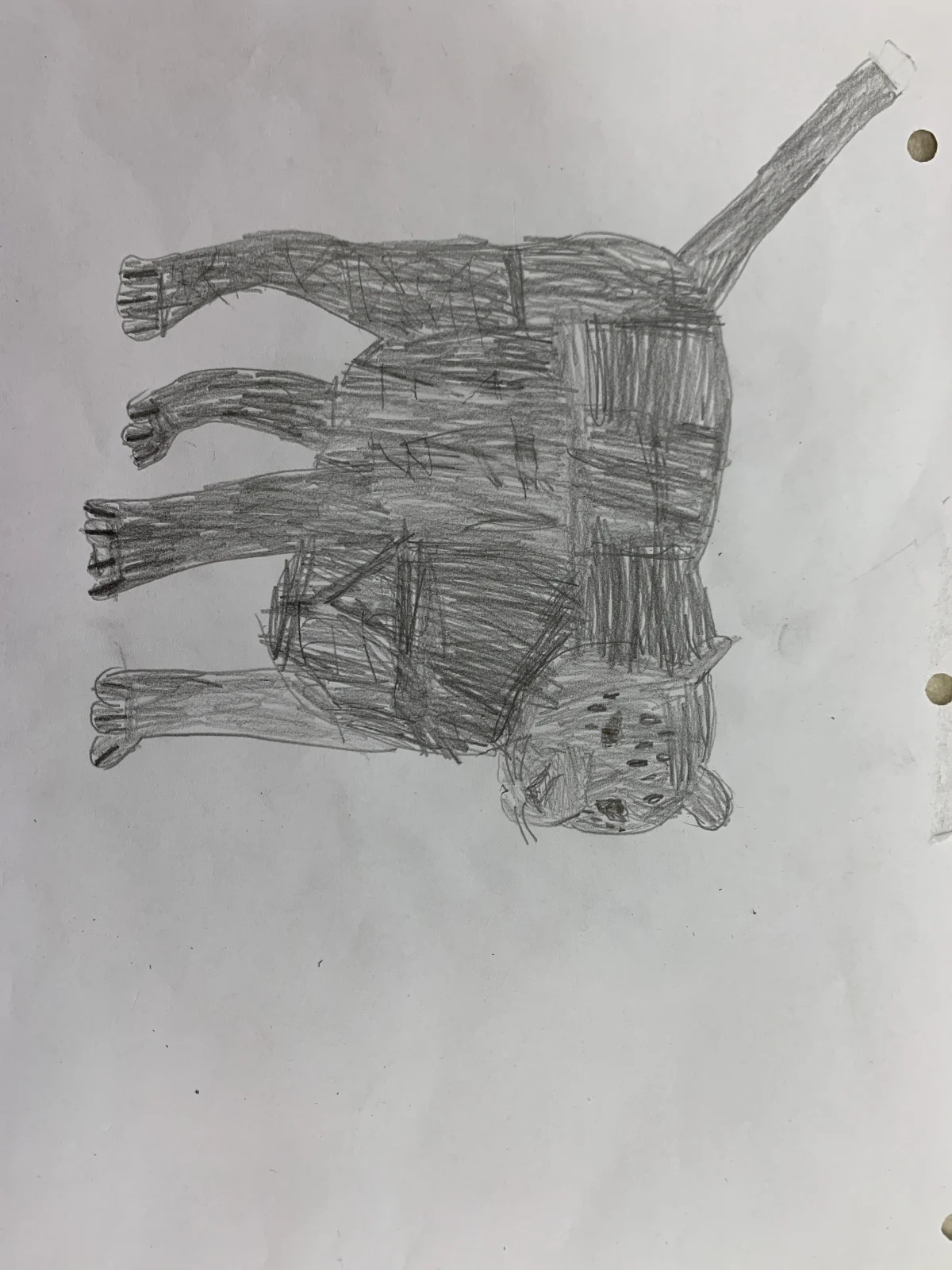Post thumbnail image